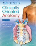 covert art - Moore's clinically oriented anatomy