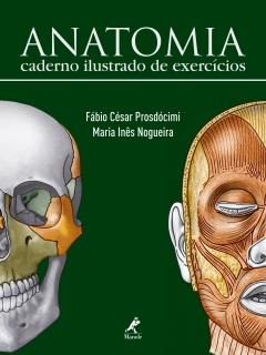 Continuar lendo: Anatomia: caderno ilustrado de exercícios