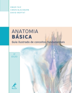Continuar lendo: Anatomia Básica: Guia Ilustrado de Conceitos Fundamentais