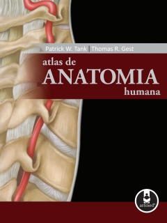 Continuar lendo: Atlas de anatomia humana