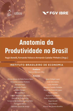 Continuar lendo: Anatomia da Produtividade no Brasil